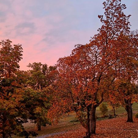 Bed and Breakfast Joensuun Tilan Paeaerakennus Soderkulla  Zewnętrze zdjęcie
